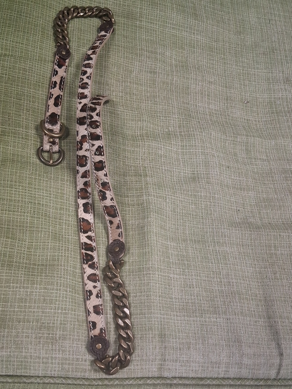 J. Crew Leopard-Print Reptile Leash with Gold Chain Accents